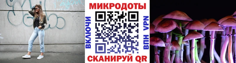 Псилоцибиновые грибы мухоморы Кондопога